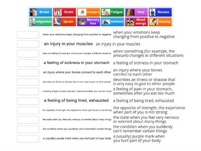 11 Advanced : Term 3 Exam Vocabulary 