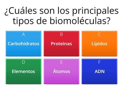 Explorando las biomoléculas