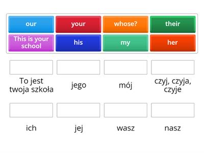 Brainy 4 possesive adjectives