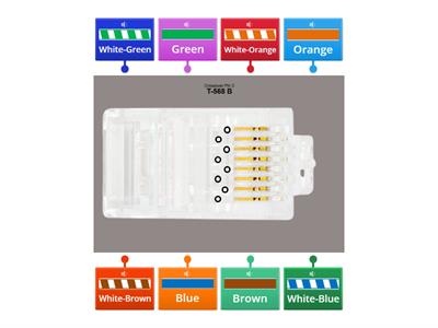 Q4 Activity 8-B: Crossover LAN Cabling (T-568B)