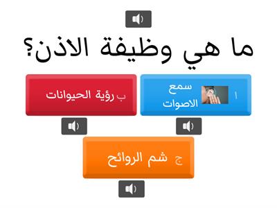 الحواس الخمسة