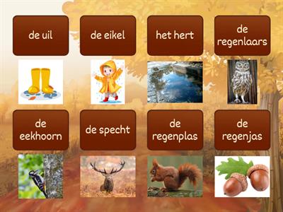 Verbinden Herfst Woordenschat - groep 3/4 #Meester Max