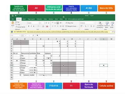 Functii Excel