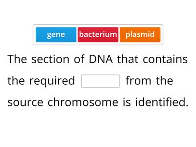 Genetic Engineering missing word (N5 level)