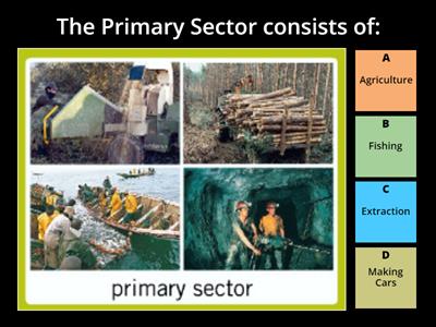 2024 2025 OA The Primary Sector