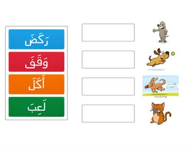 KG. verbs with animals