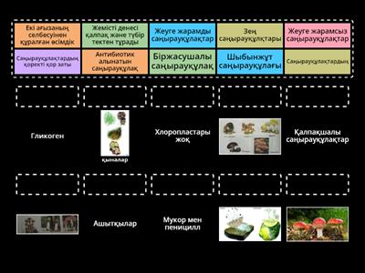 Саңырауқұлақтардың тірі ағызалар үшін маңызы