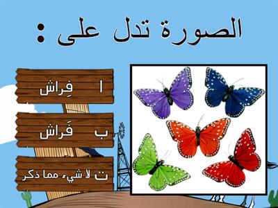 امتحان لغة عربية، الصف الاول الاساسي