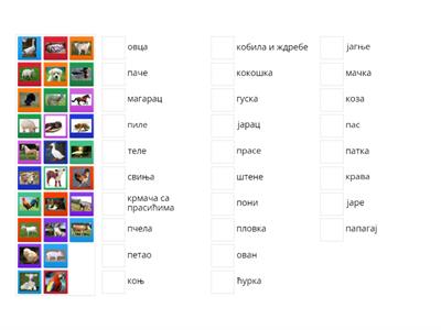 Домаће животиње - за 1. разред