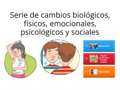 Etapas del desarrollo humano