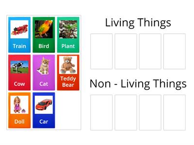 Living / Non- Living Things