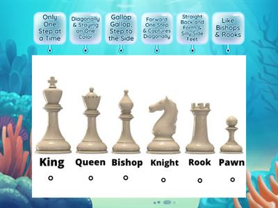 Chess Pieces Diagram
