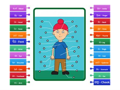 Parts of Body in Panjabi