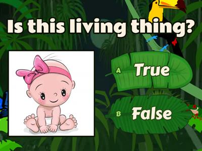 LIVING THINGS - NON LIVING THINGS (True & False)