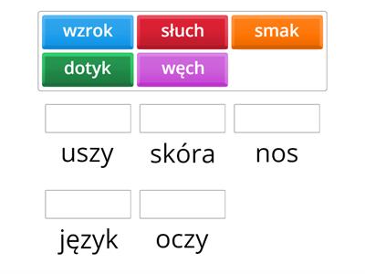 zmysły