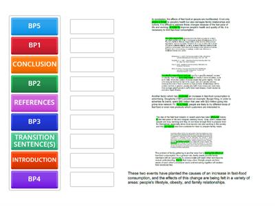 Cause and Effect Essay Sample