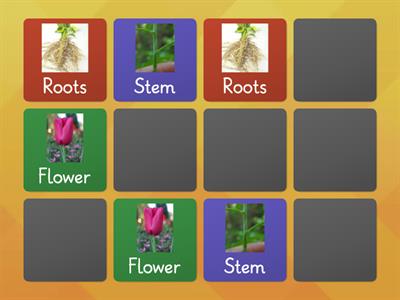 Plant parts matching pairs