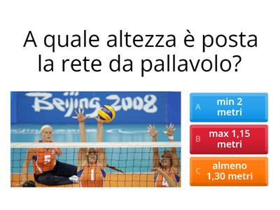 Giocare a Sitting volley
