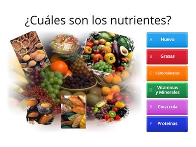 Cuestionario de Taller de Nutrición