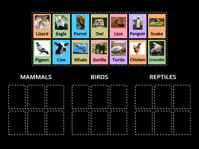 Mammals, Birds and Reptiles