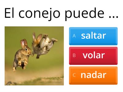 Animales / ¿Qué pueden hacer y cómo son?