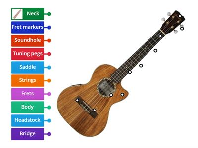 Parts of the ukulele