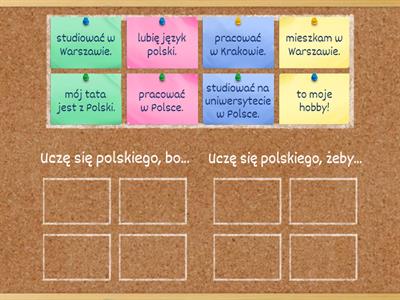 Dlaczego uczysz się polskiego?
