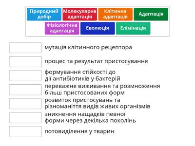 Адаптація