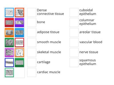All types of tissue 