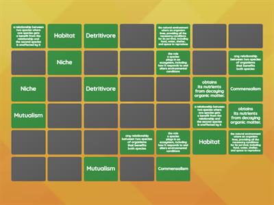 Ecology Vocabulary Review