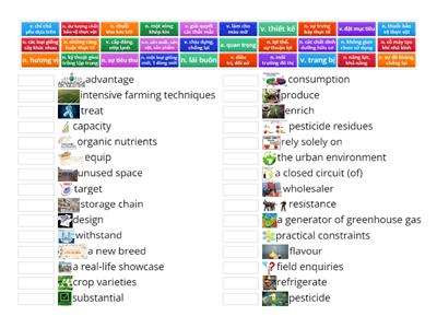 CAM 18 - T1R1 - VOCABS - P2