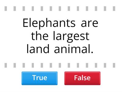 Fun facts about elephants.
