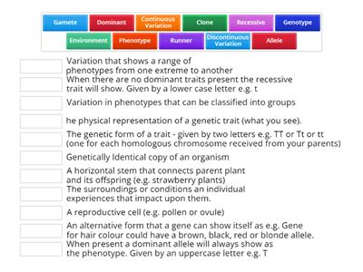 Y10 Inheritance Vocabulary Task 2