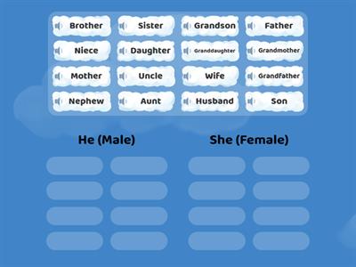 sound Family Member - He/She sorting