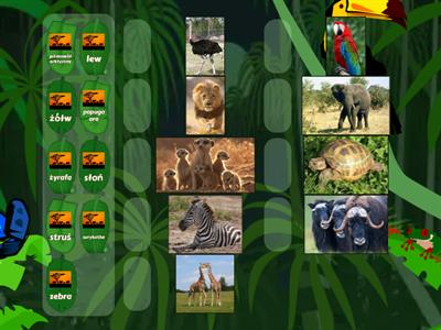 Zwierzęta Safari.Lekcja 1.
