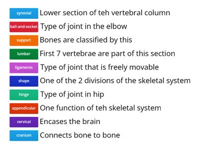 Skeletal System Facts