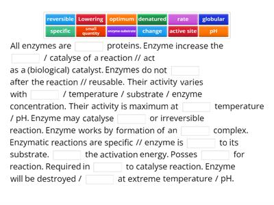 Describe the properties of an enzyme