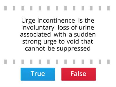 Urinary System