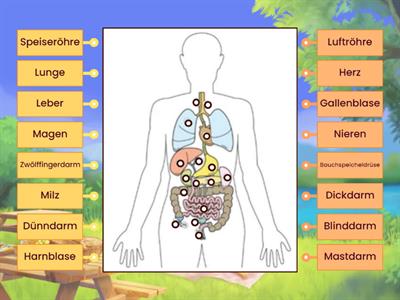 Biologie Organe MEc01