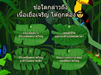 คำถามเสี่ยงทาย