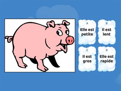 G2A: Les adjectifs/ les animaux - les habitats - les consignes