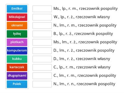 formy rzeczownika