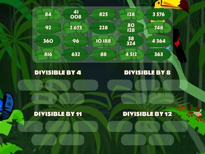 DIVISIBILITY RULES BY 4, 8, 11 and 12