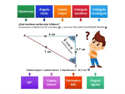 Elementos en un TRIÁNGULO 