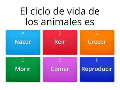 Ciclo de vida de los animales