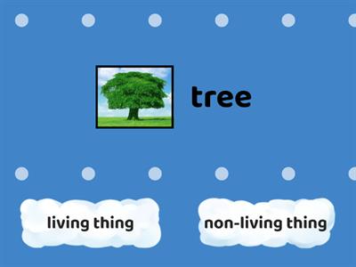 Identify living and non-living things