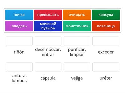 Выделительная система (Беляева, ур. 12)