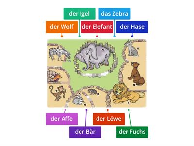 6_2_2a. Tiere im Zoo (3.Klasse)