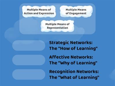  UDL Principles and Cognitive Learning Networks Matching