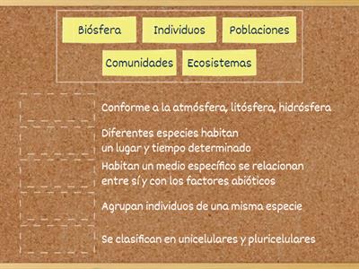 Niveles de organización ecológica